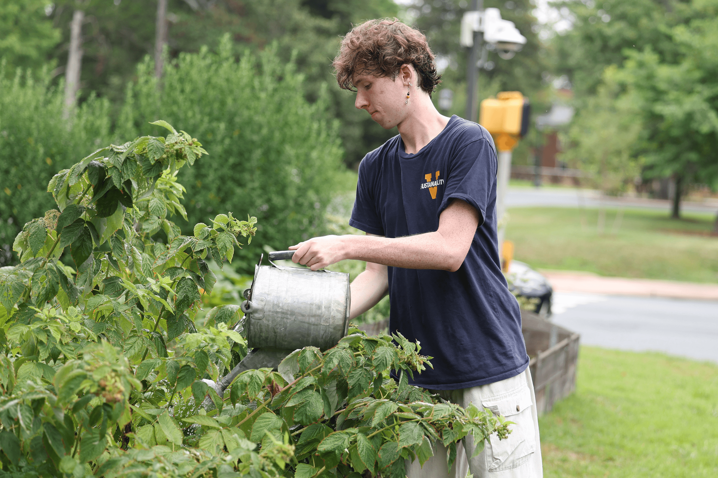 Gavin Crigger watering a bed of plants